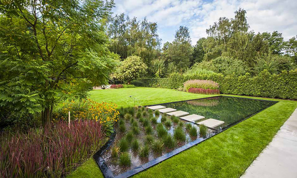 Groeneplan Zwemvijver Met Planten