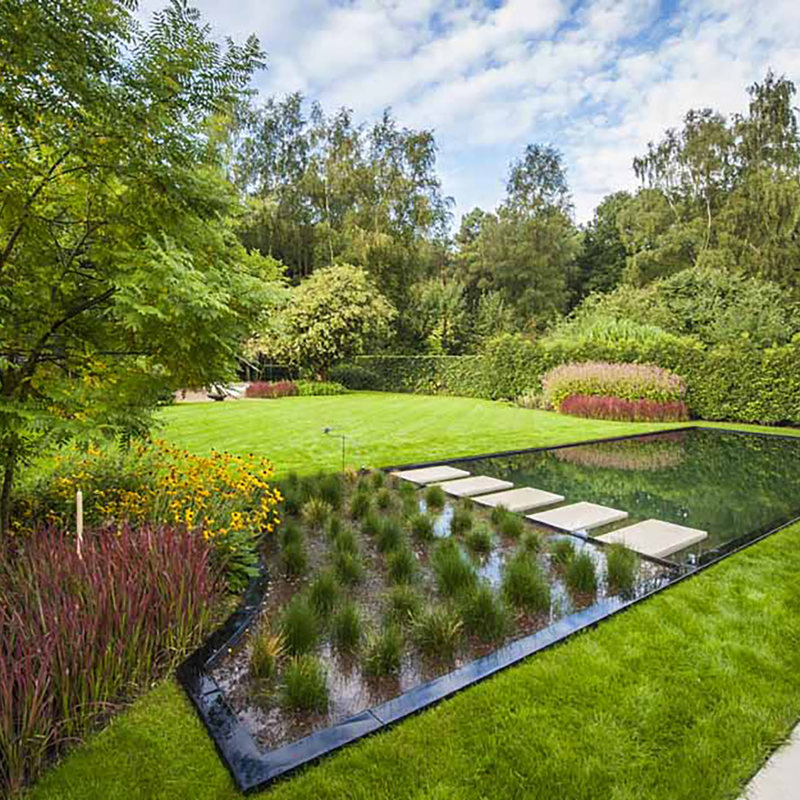Groeneplan Zwemvijver Met Planten