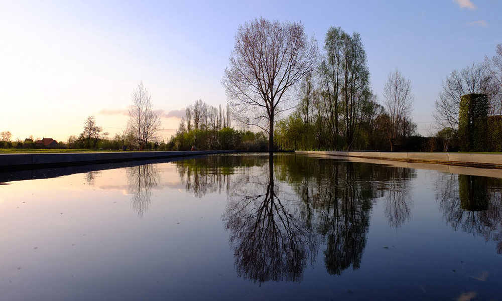 2203 Weerspiegelende Bomen Kopie