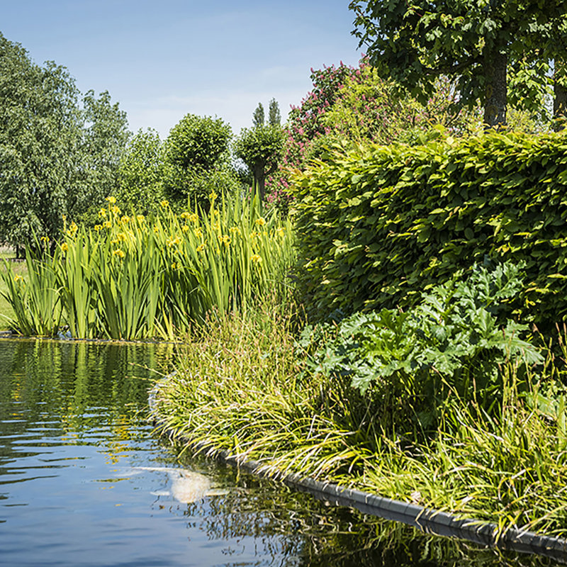 Koivijver Studiopsg.Be 9344 Kopie