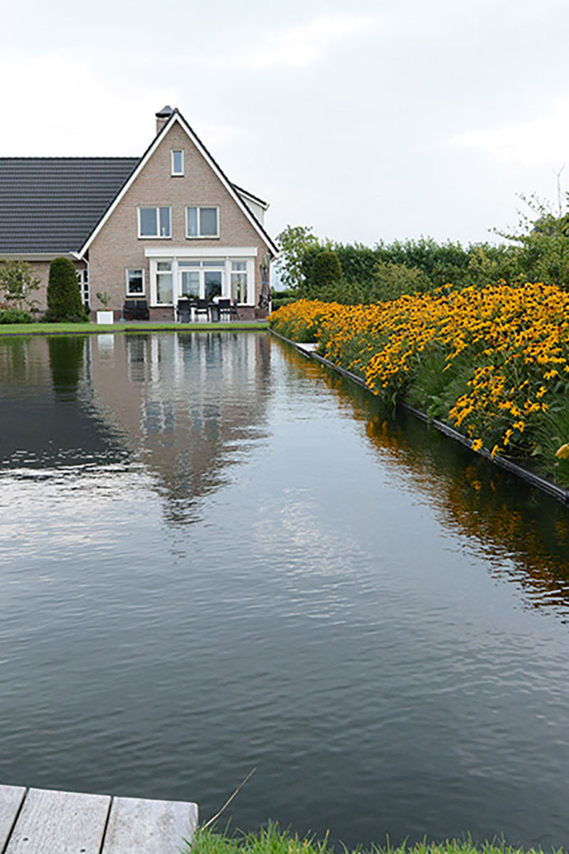 Zwemvijver oranje bloemen
