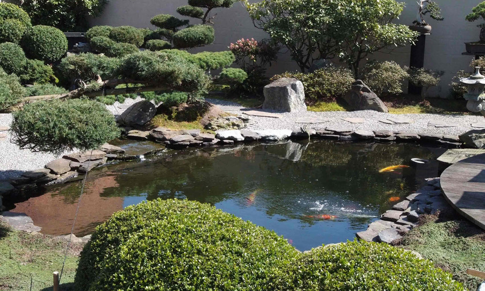 Koi vijver rotsen