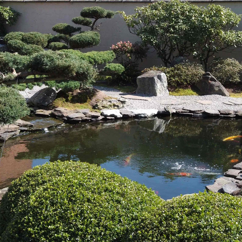 Koi vijver rotsen