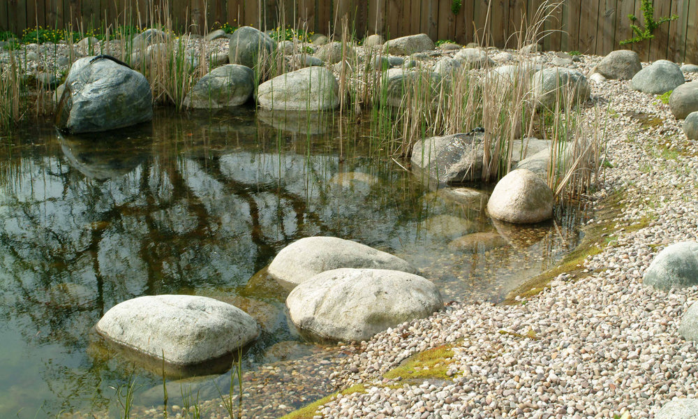 2303 Grote Keien In Vijver 0