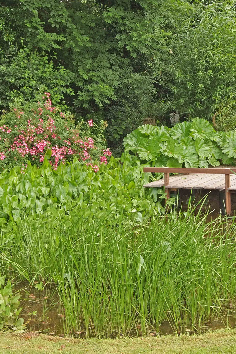 3005 Dscf1396corrmed