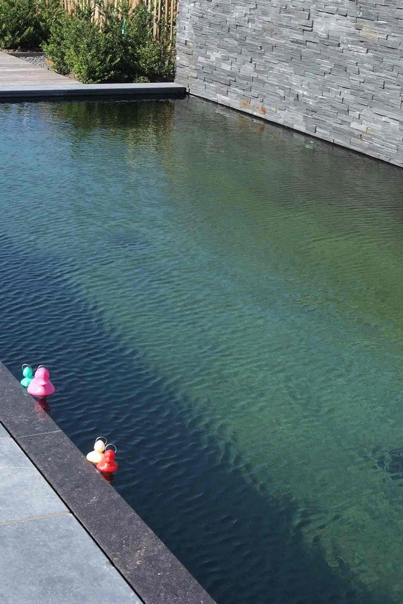 Zwemvijver Badeendjes