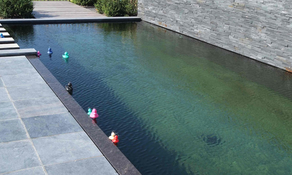 Zwemvijver Badeendjes