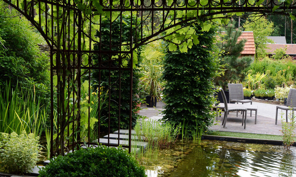 1901 Vijver Onder Pergola Schaduw