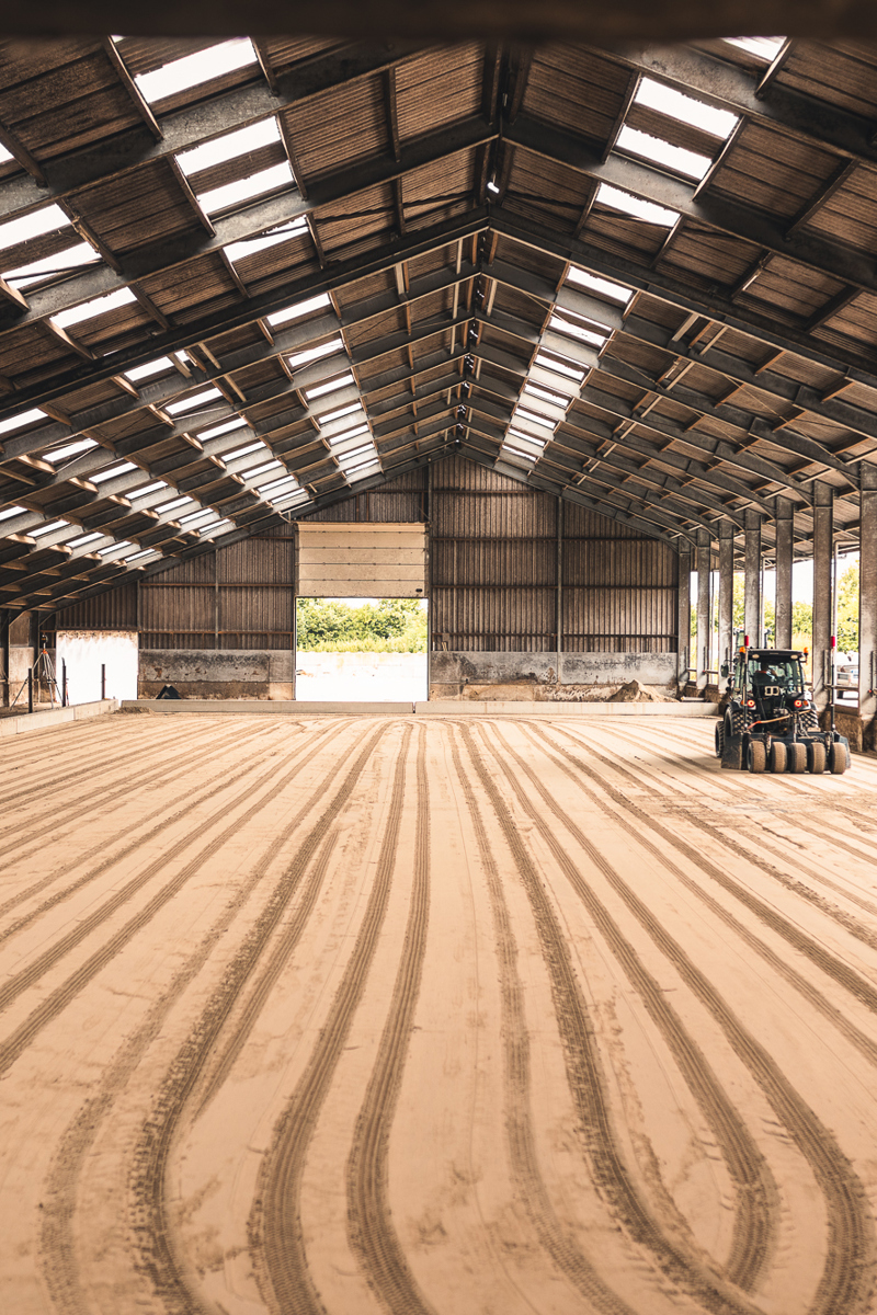 Foto'sfinsterwolde 9966