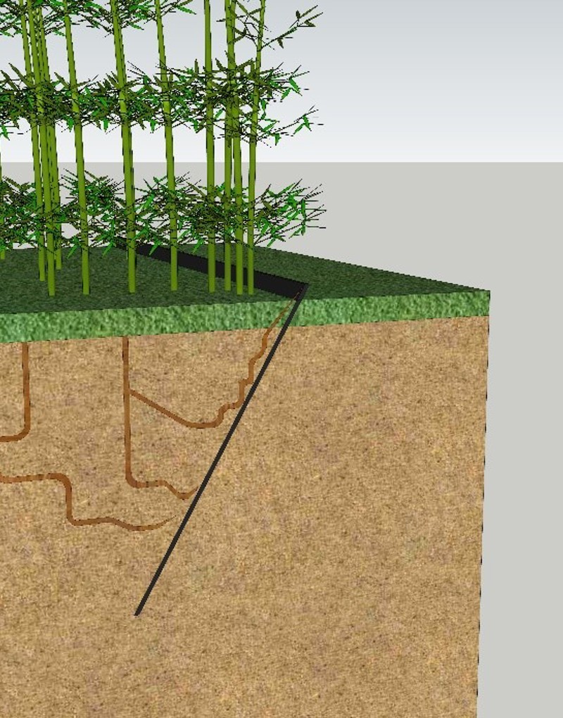 Afbeelding Rootblock