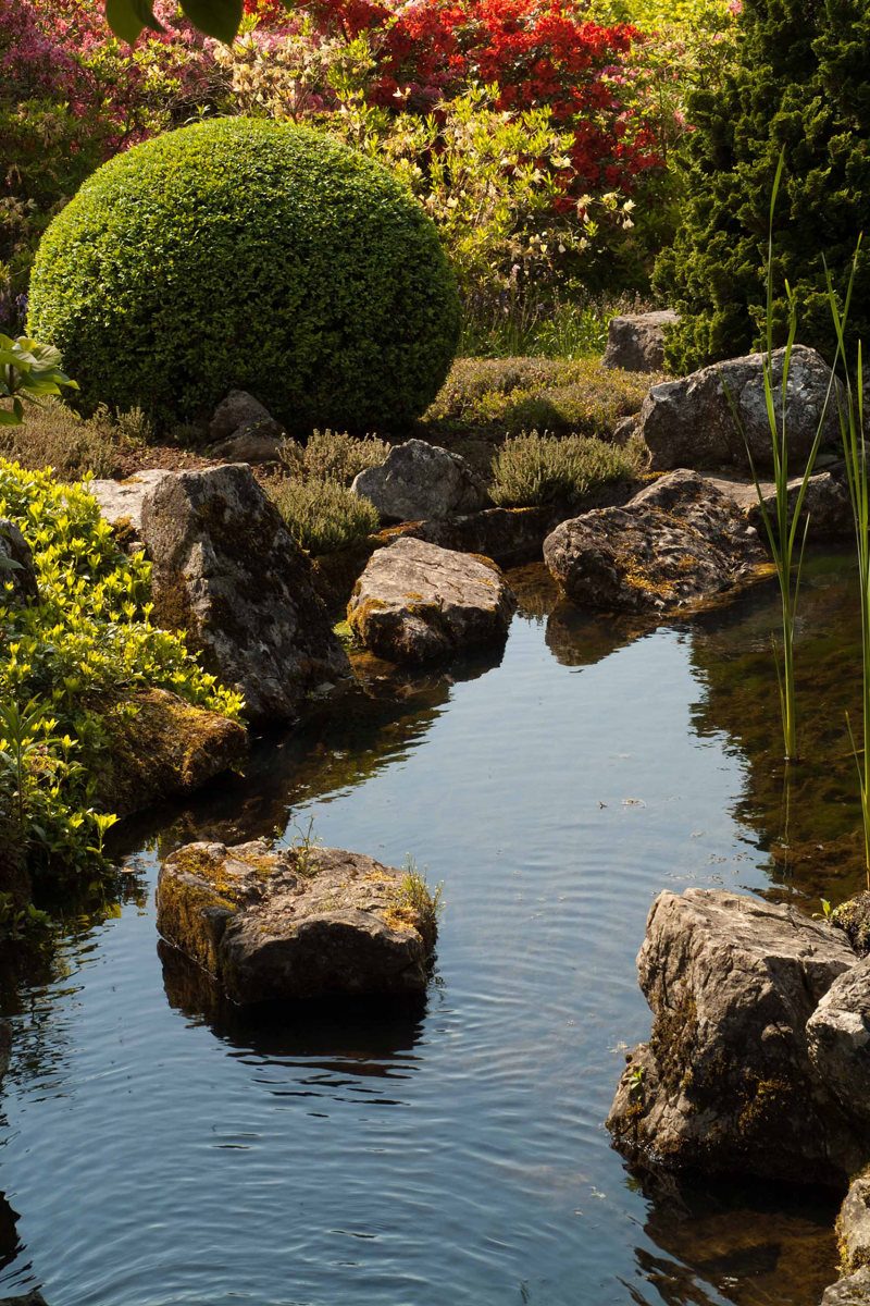 Informele Vijver met rotsen