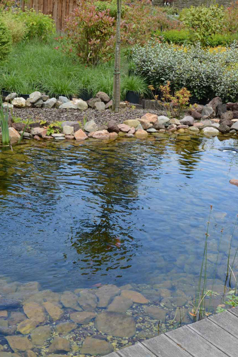 3003 Vijver Keien Planten