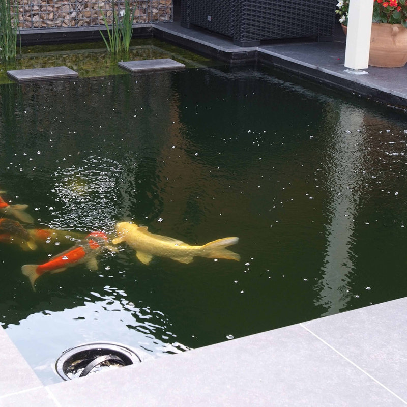 Koivijver Kleine Tuin 2