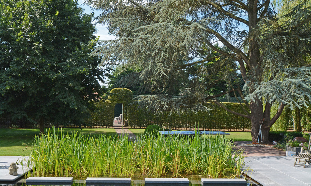 19041707DSC 3463Corr DOWNFLOW