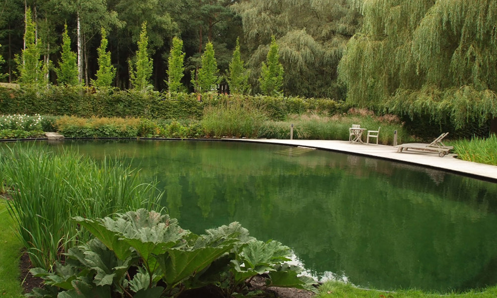 404 Zwemvijver1309img5