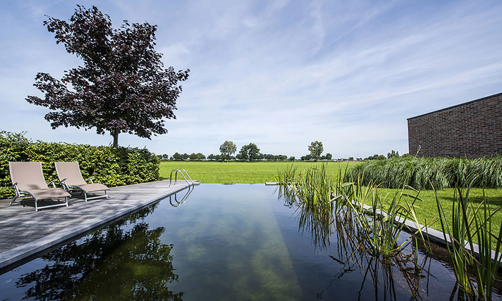 Zwemvijver ligzetels