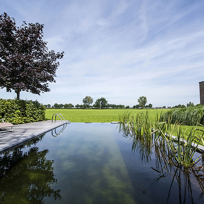 Zwemvijver ligzetels