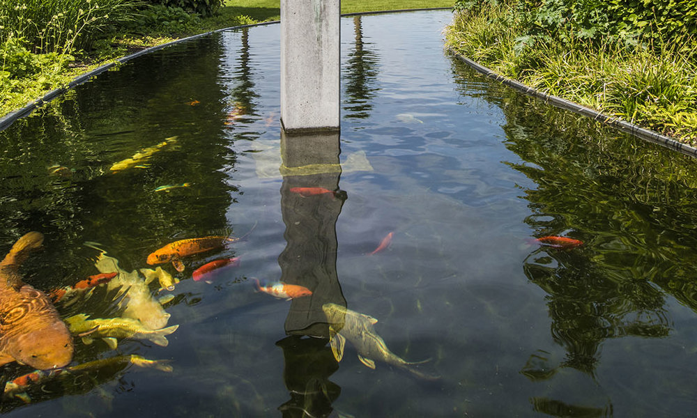 Koivijver Studiopsg.Be 9407 Kopie