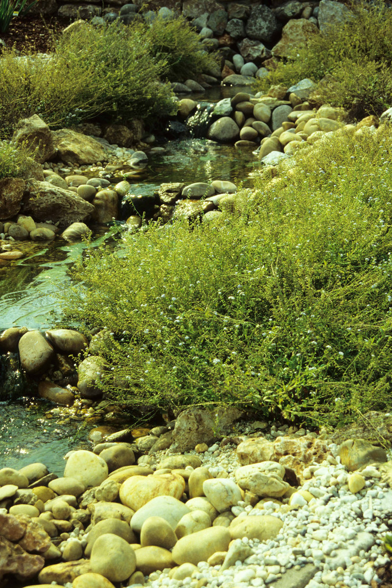 Natuurlijk Ogend Beekje (1)
