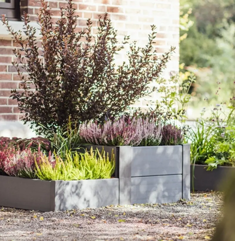 Web Ecoo Kitchengarden 2022 7