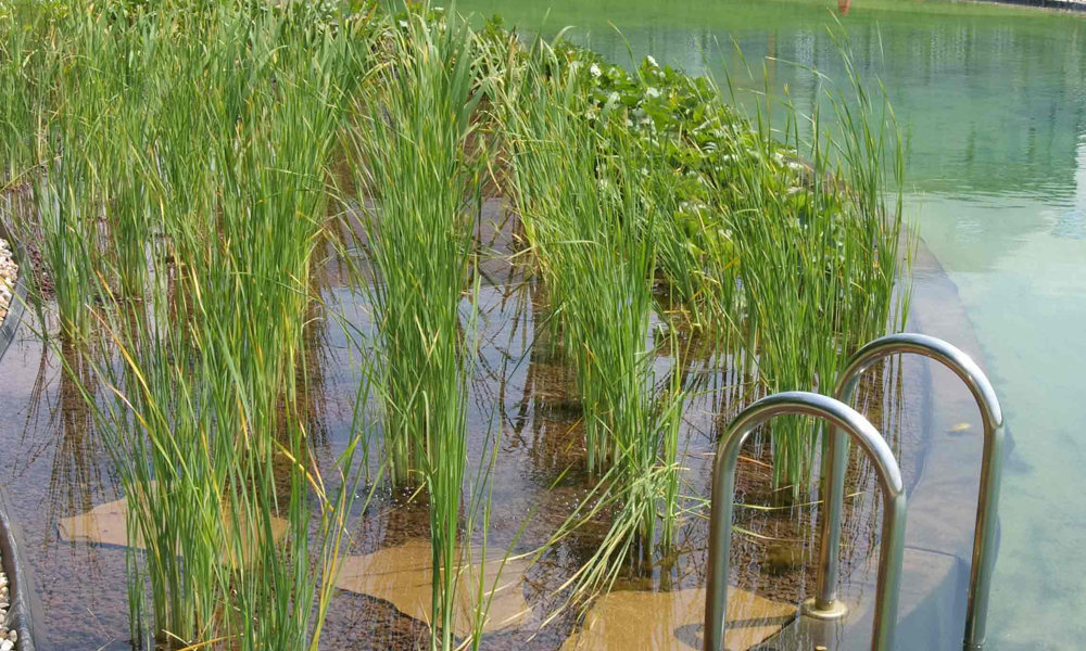 401 Zwemvijver 3 Informeel