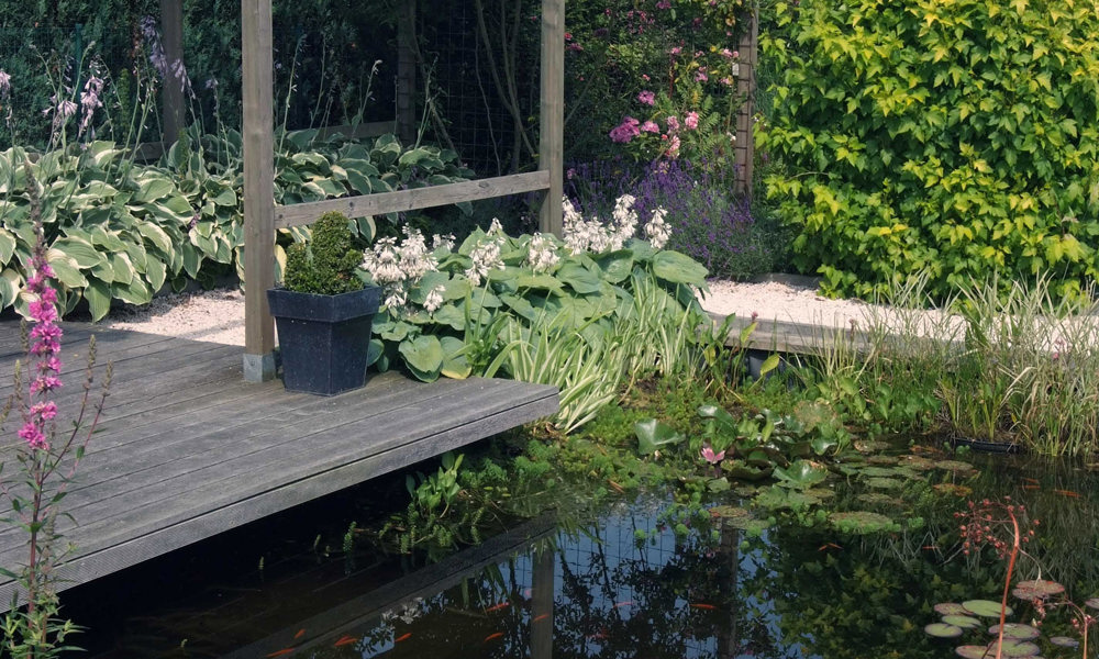 1901 Vijver Nabij Woning