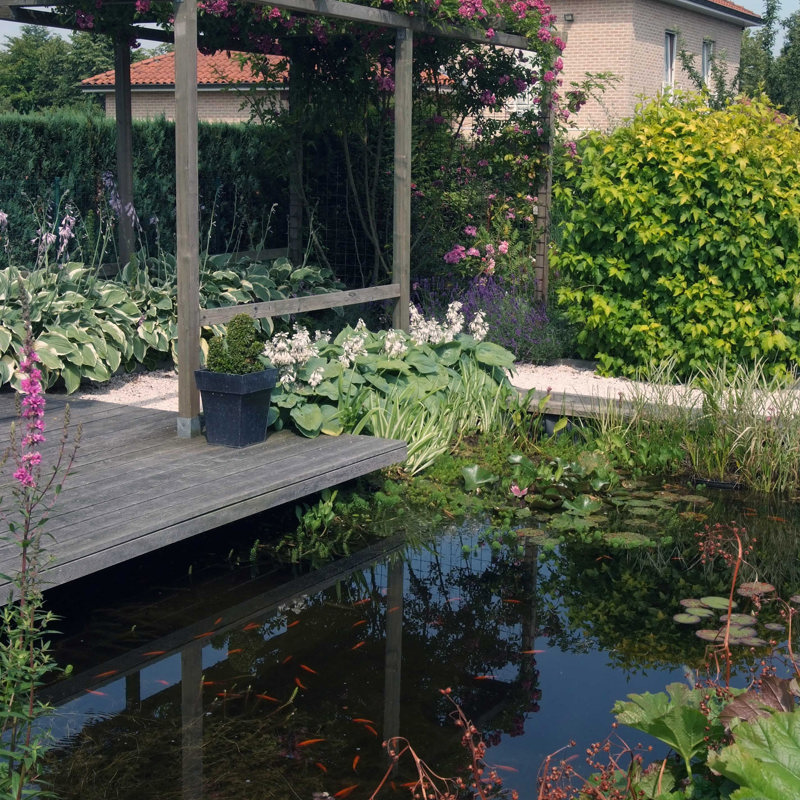 1901 Vijver Nabij Woning