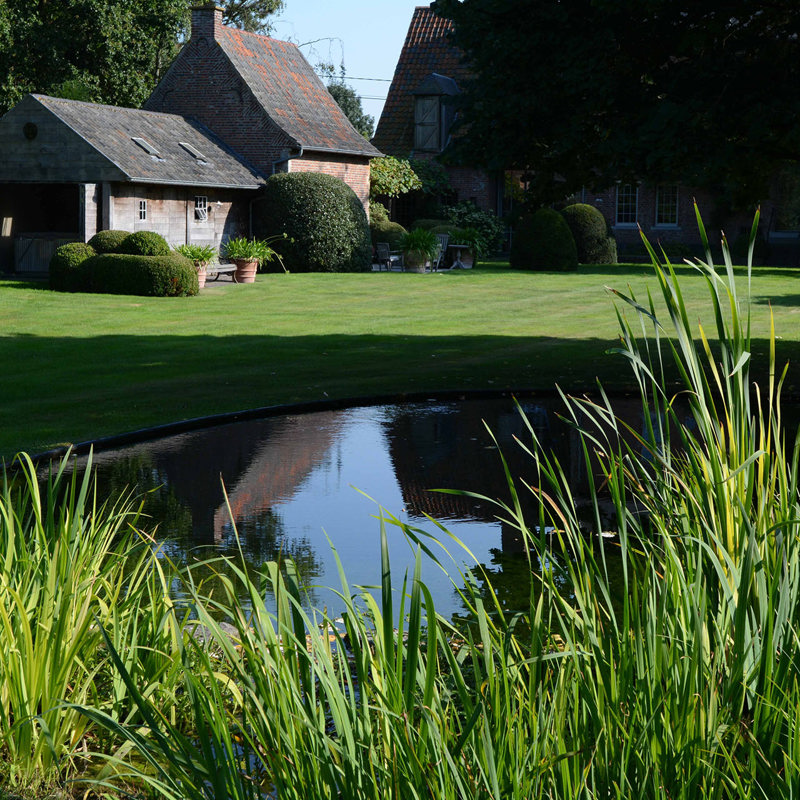 Spiegelende Plantenvijver