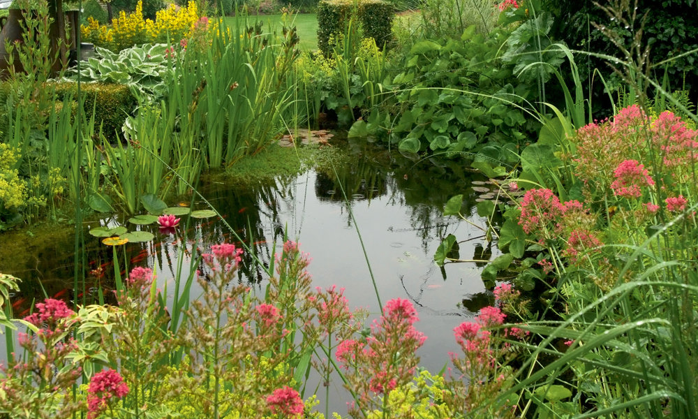 1902 0906DSCF9292 Medium