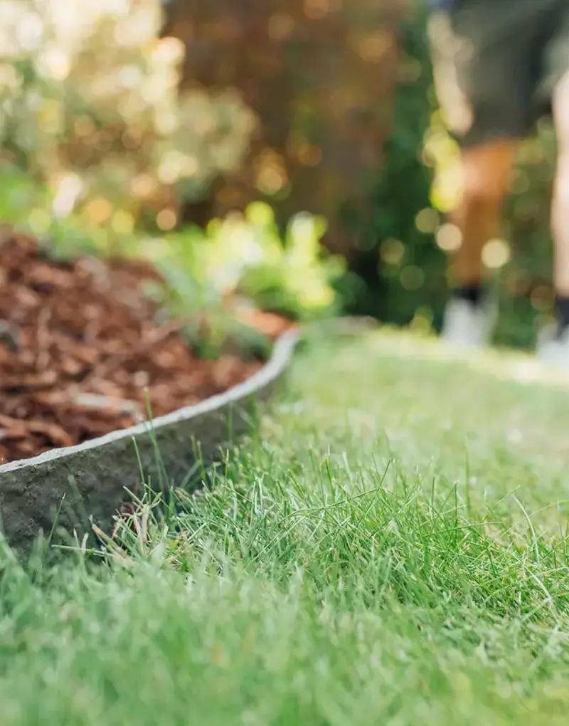 Ecoo 2020 Ecolat 12 Min