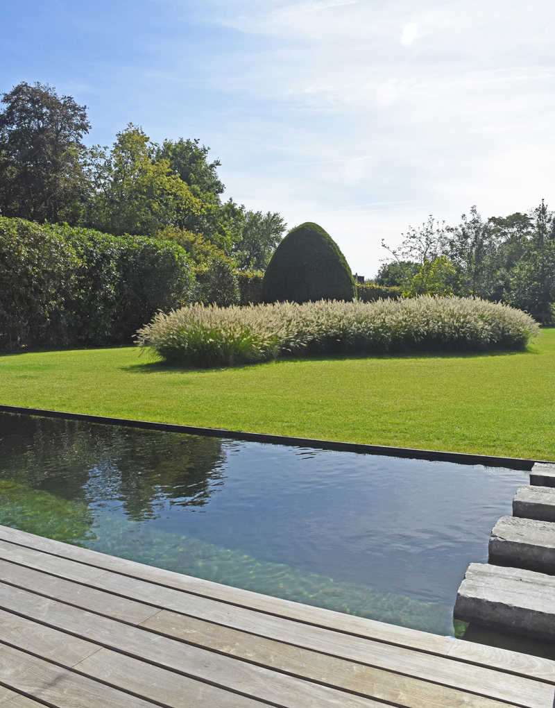 Zwemvijver met stapstenen