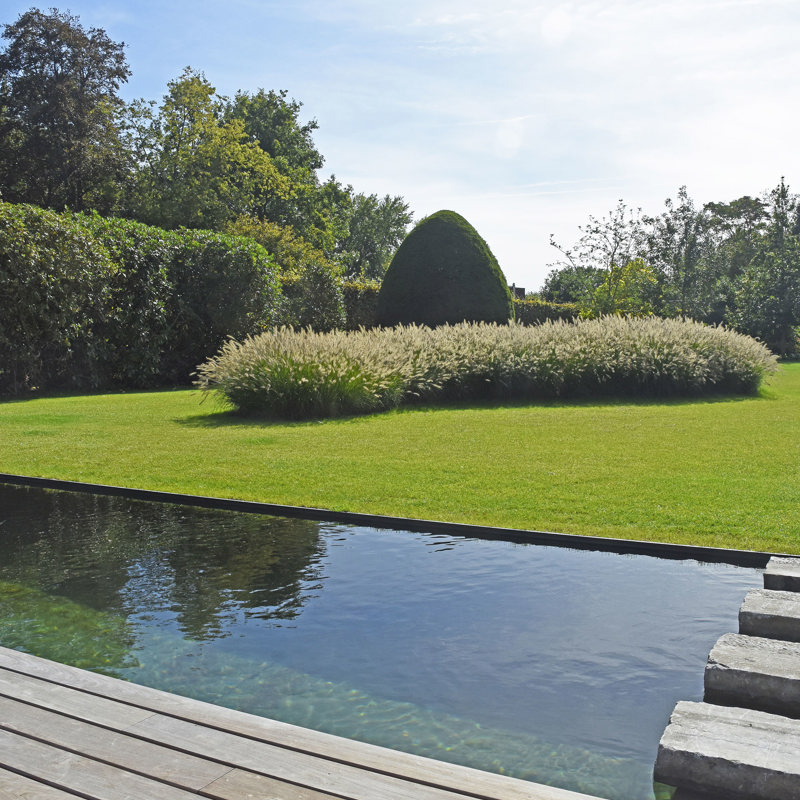 Zwemvijver met stapstenen