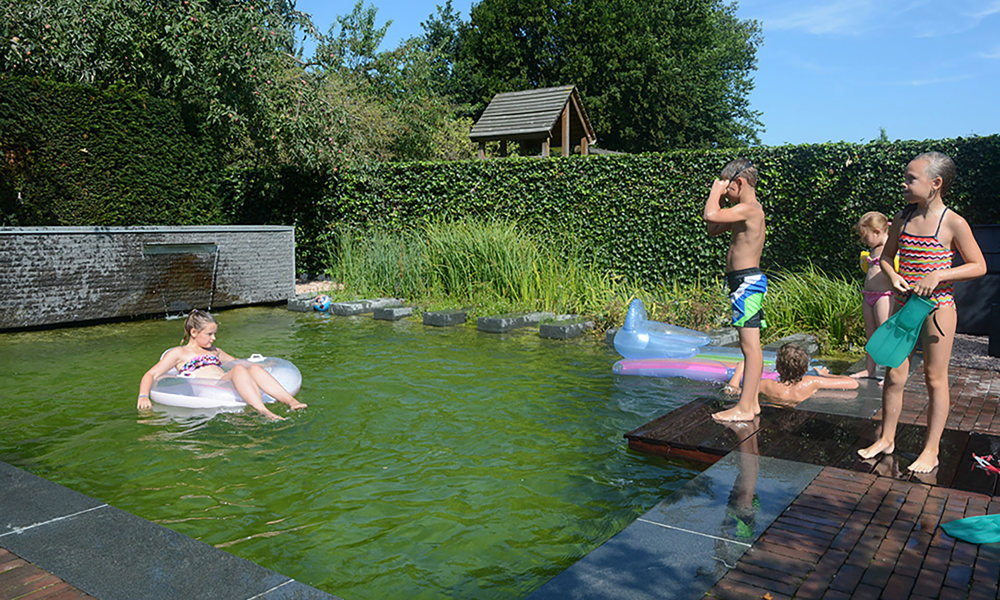 503 Zwemvijver2016 B2015DSC 8559